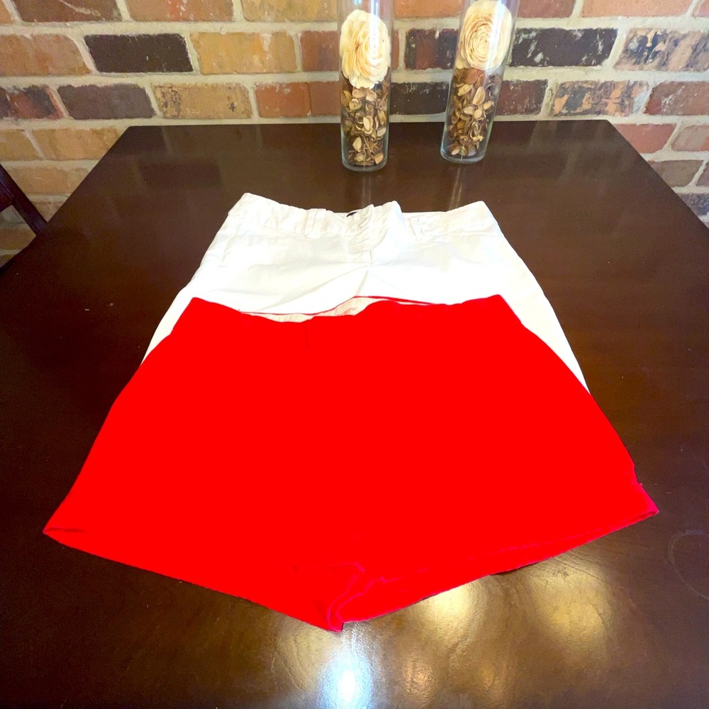 🦋Bundle Alert (2) Pairs of Summer Shorts, Size 10 (34”)